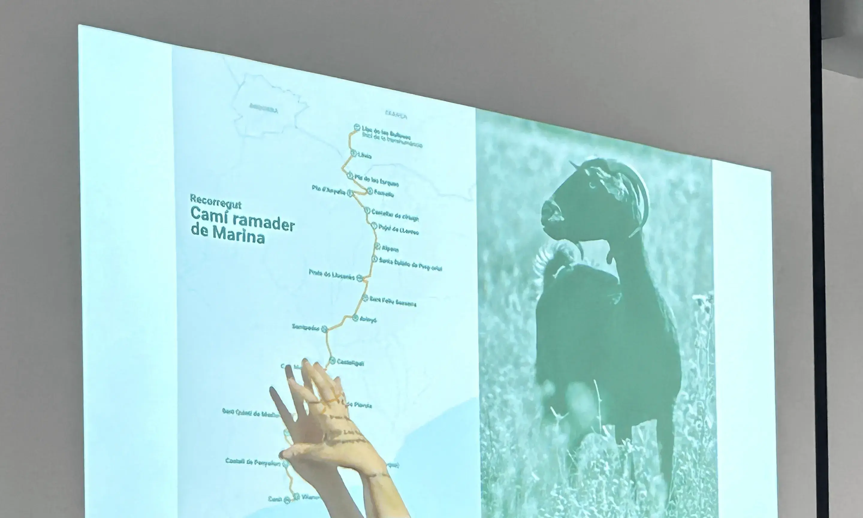Ambdós programes combinen coneixement teòric, experiències vivencials i implicació directa en el territori
