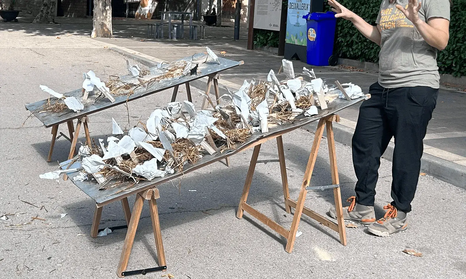 El projecte MeFiTu està adreçat a infants de primària, i com podem prevenir els grans incendis forestals