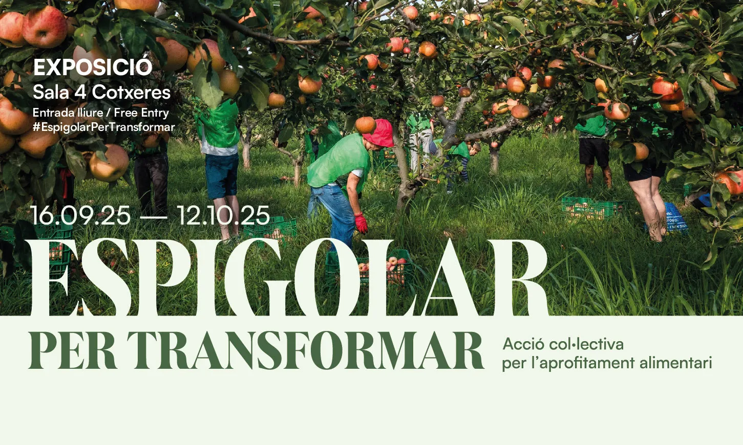 Acció col·lectiva per l'aprofitament alimentari