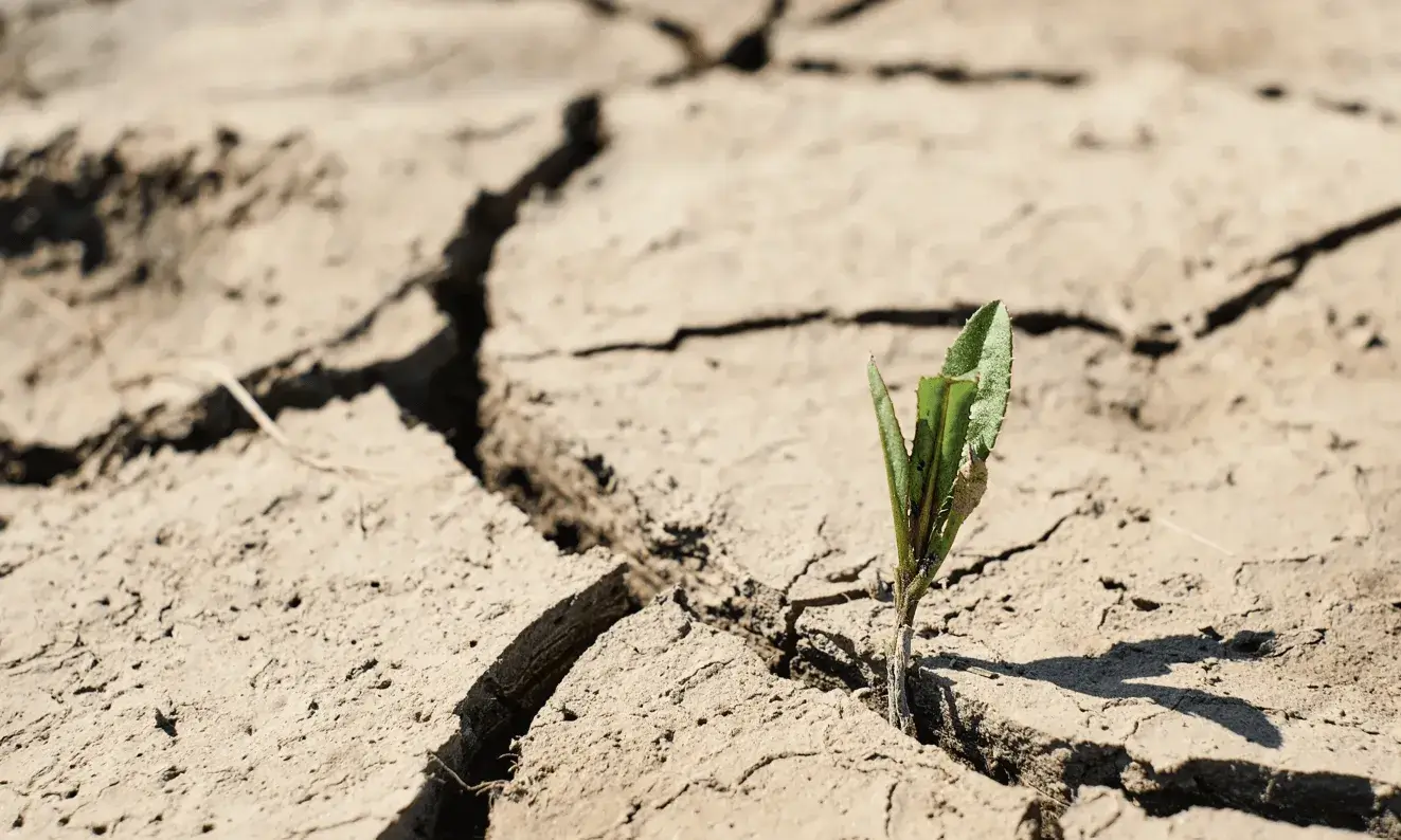 El procés de consulta pública de la CE amaga, segons les entitats, un intent d’erosionar les lleis, normatives i requeriments ambientals.