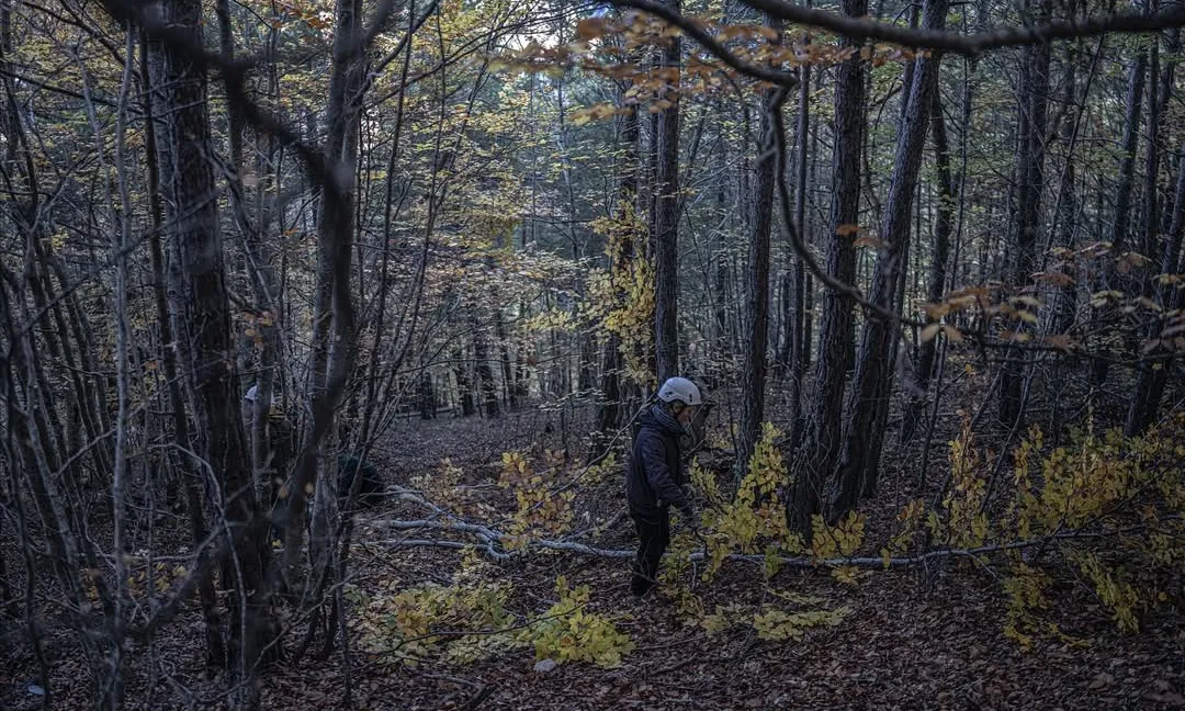 El document l'ha elaborat la Xarxa per a la Conservació de la Natura en el marc del projecte CustForest.
