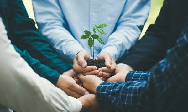 Associació o cooperativa? Tria el teu camí!