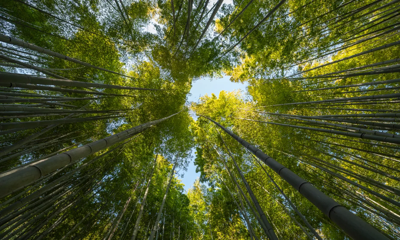 Les entitats ambientals reivindiquen el valor d’un sector essencial, però precaritzat.