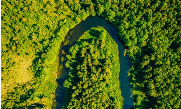 Recollim les veus d’entitats del tercer sector ambiental que, tot i sostenir una tasca clau per conservar i restaurar la natura, denuncien precarietat crònica.