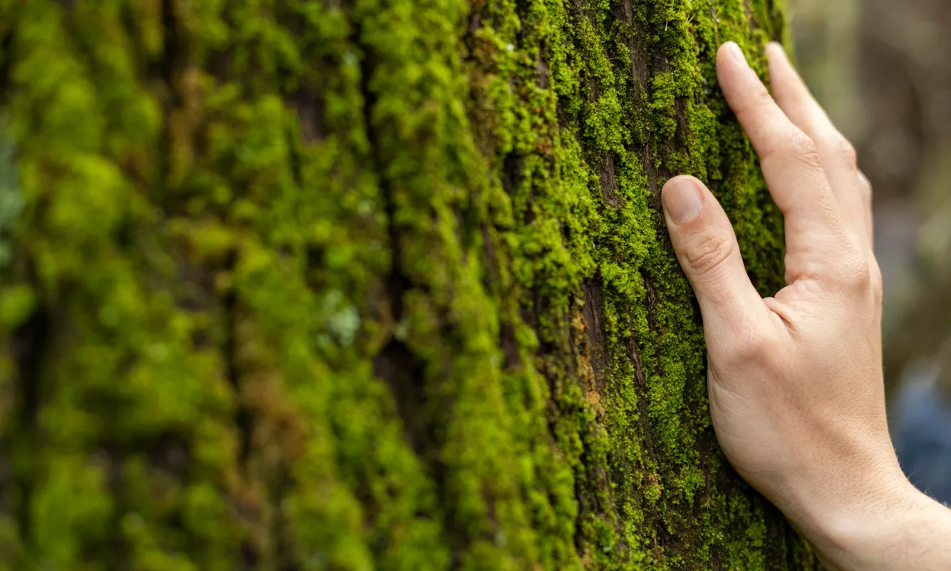 La XCN reclama garanties pressupostàries per desplegar el Fons de Patrimoni Natural i desbloquejar l’Agència de la Natura de Catalunya.