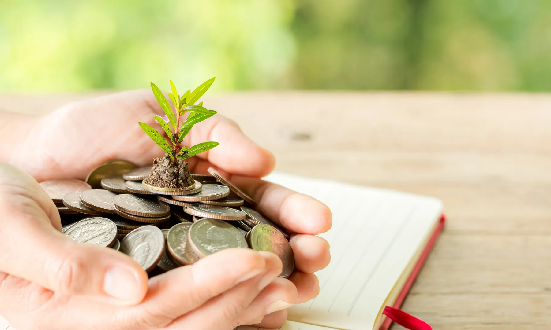 Mans sostenint monedes amb una petita planta creixent al damunt, simbolitzant el finançament i el creixement de projectes.