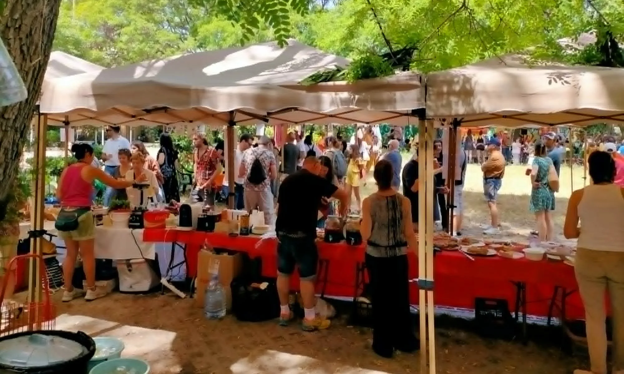 Solidarios Sin Fronteras és una petita ONG catalana completament voluntària que fa onze anys que sosté projectes humanitaris al Iemen.