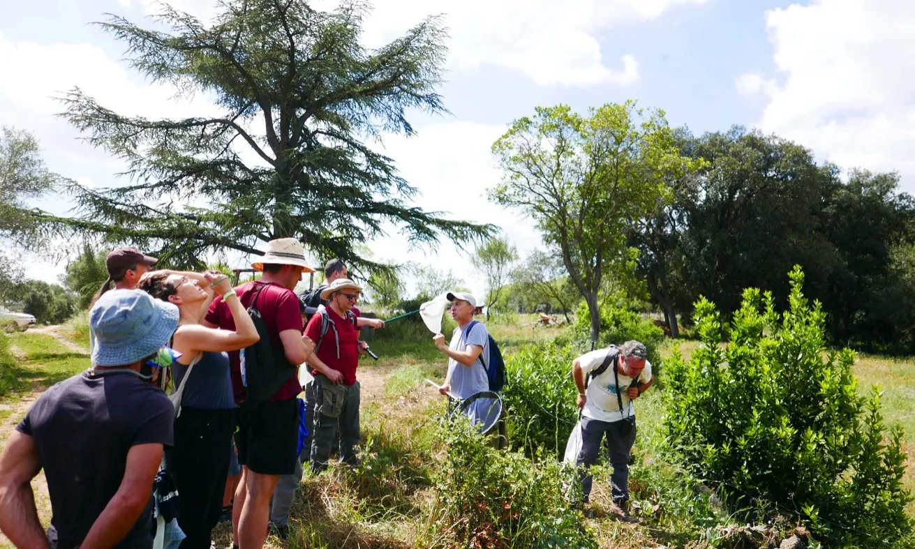 La Setmana de la Natura torna amb més de 500 activitats per descobrir i defensar la biodiversitat.