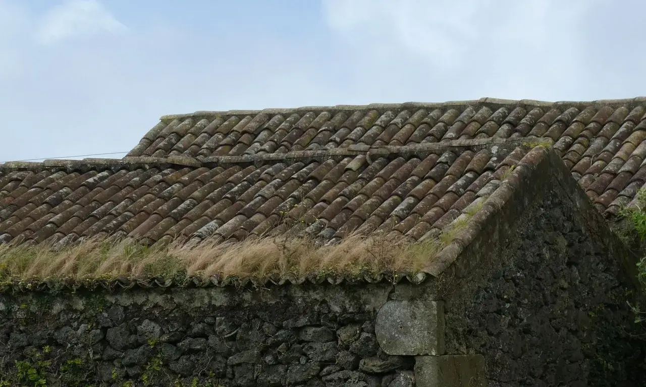 Una casa rústica de pedra amb teulada de teules, envoltada de vegetació en un entorn rural.