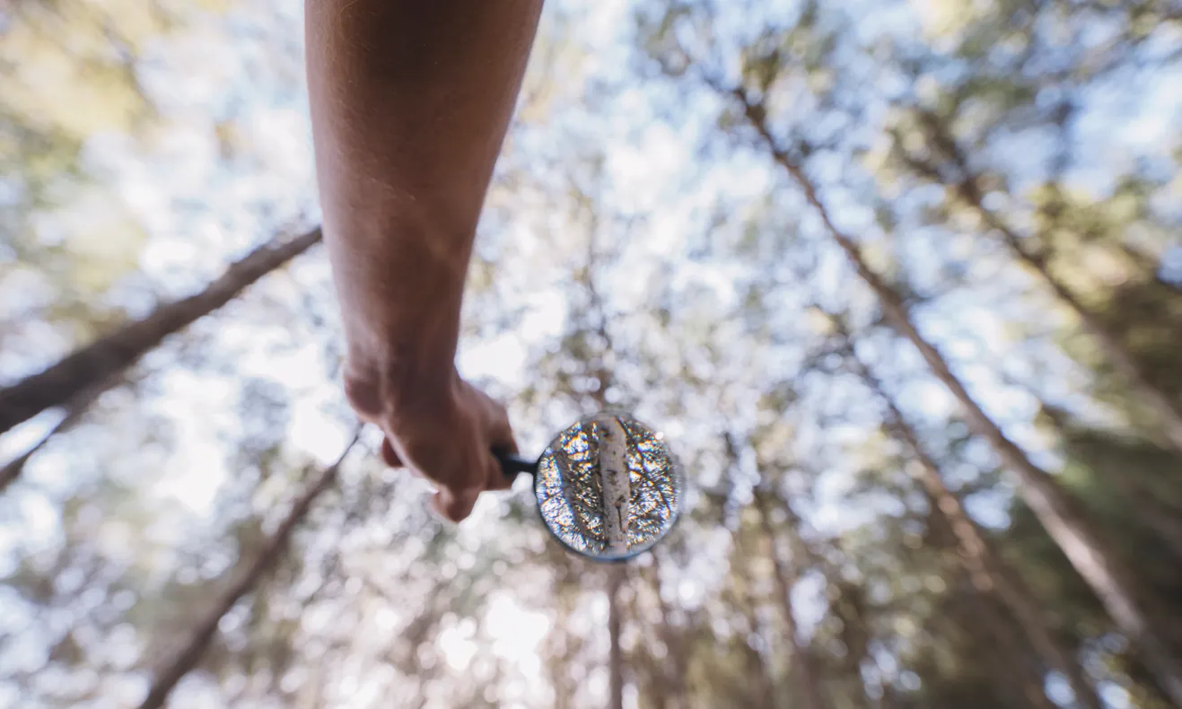 Del 5 al 7 d’octubre, la cita posarà en comú projectes, reptes i estratègies per reforçar la conservació de la natura i la capacitat d’incidència del sector ambiental.
