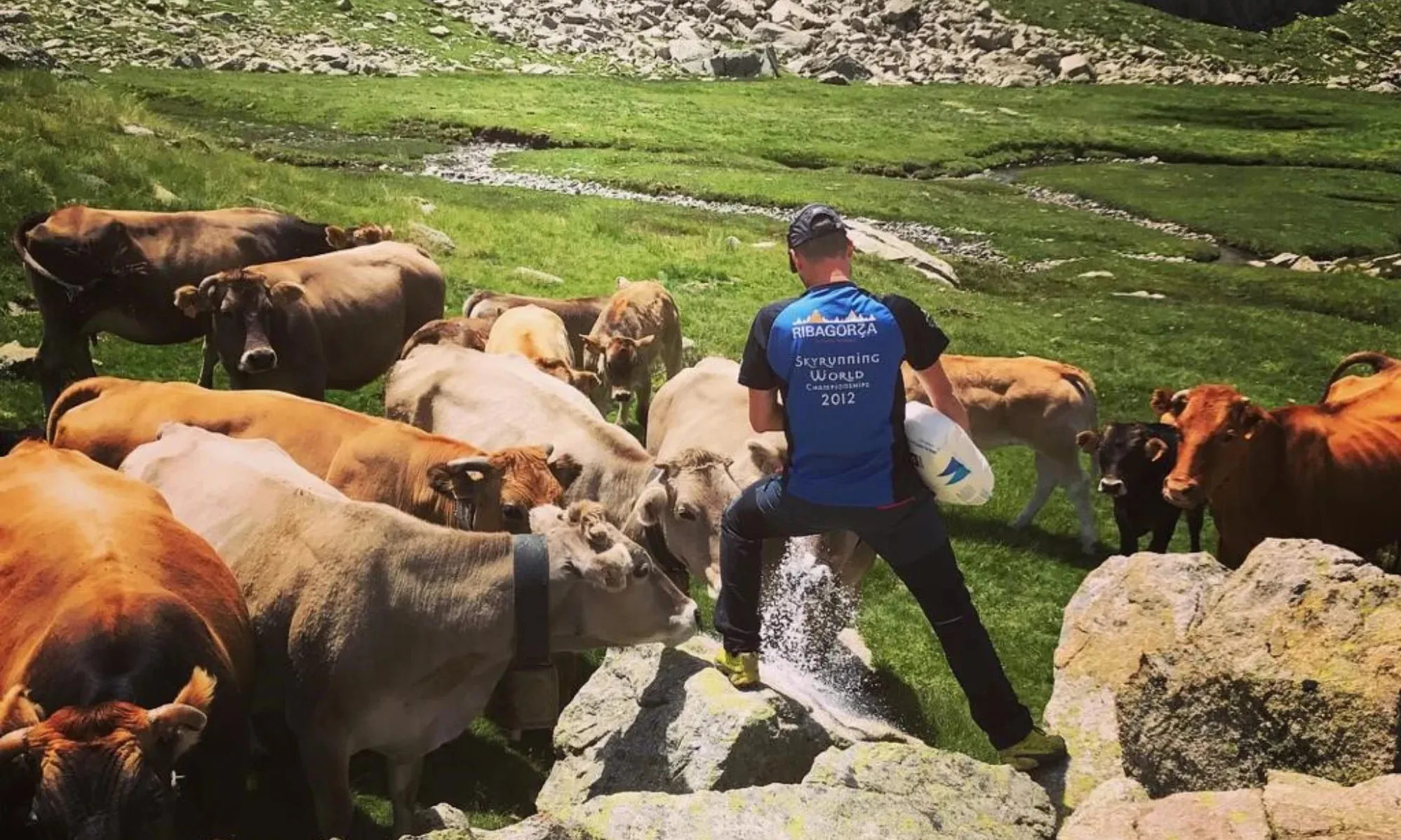 La ramaderia extensiva manté activitat, paisatge i vida als pobles, una realitat que JARC resumeix amb el lema ‘Sense ramaders no hi haurà muntanya’.