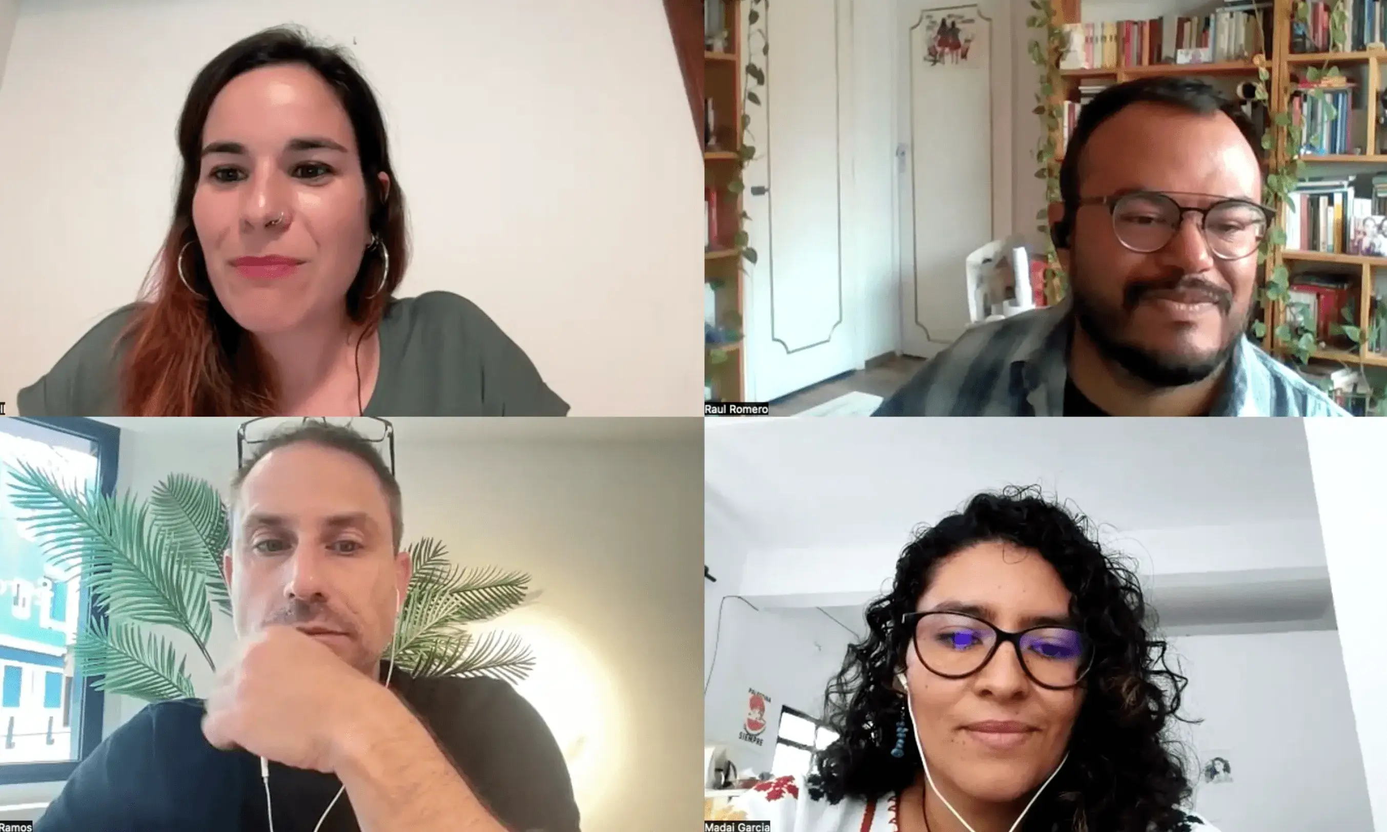 Imatges del segon seminari web "Antifascisme"