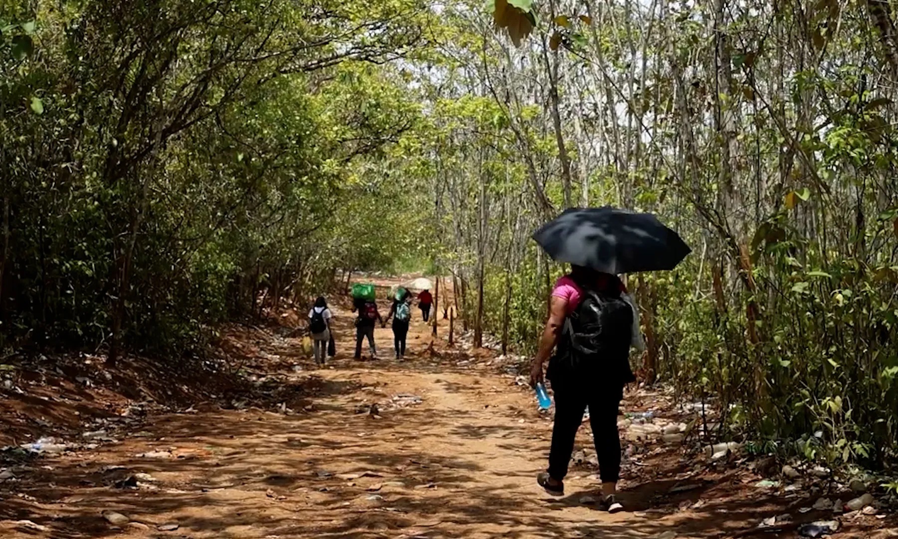 Una persona caminant amb un paraigües enmig d'un bosc tropical a Nicaragua.