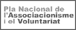 Logo Dia Internacional del Voluntariat