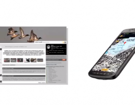 Ornitho.cat té una web i una app Font: 