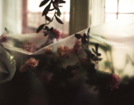 'Natura Morta', 2012 Font: Laia Abril