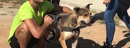 El corredor Daniel Amo, famós per córrer descalç, participa en la campanya 1€ = 1 veterinari Font: Societat Protectora Animals de Mataró