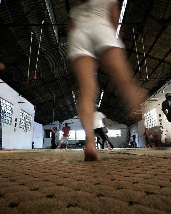 Circo Social del Sur