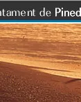 Ajuntament de Pineda de Mar Ajuntament de Pineda de Mar