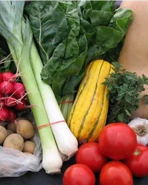 Aliments. Autor: Rotget. Font: commons.wikimedia.org