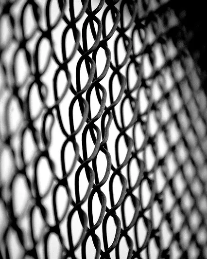 Protecció_DonkerDink_Flickr Protecció_DonkerDink_Flickr