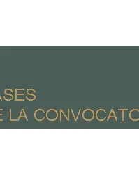 Premis Caser 'Dependencia y Sociedad' 2014