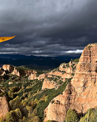 Fulla volant_Chema Concellon_Flickr
