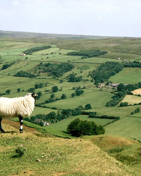 Medi rural Medi rural