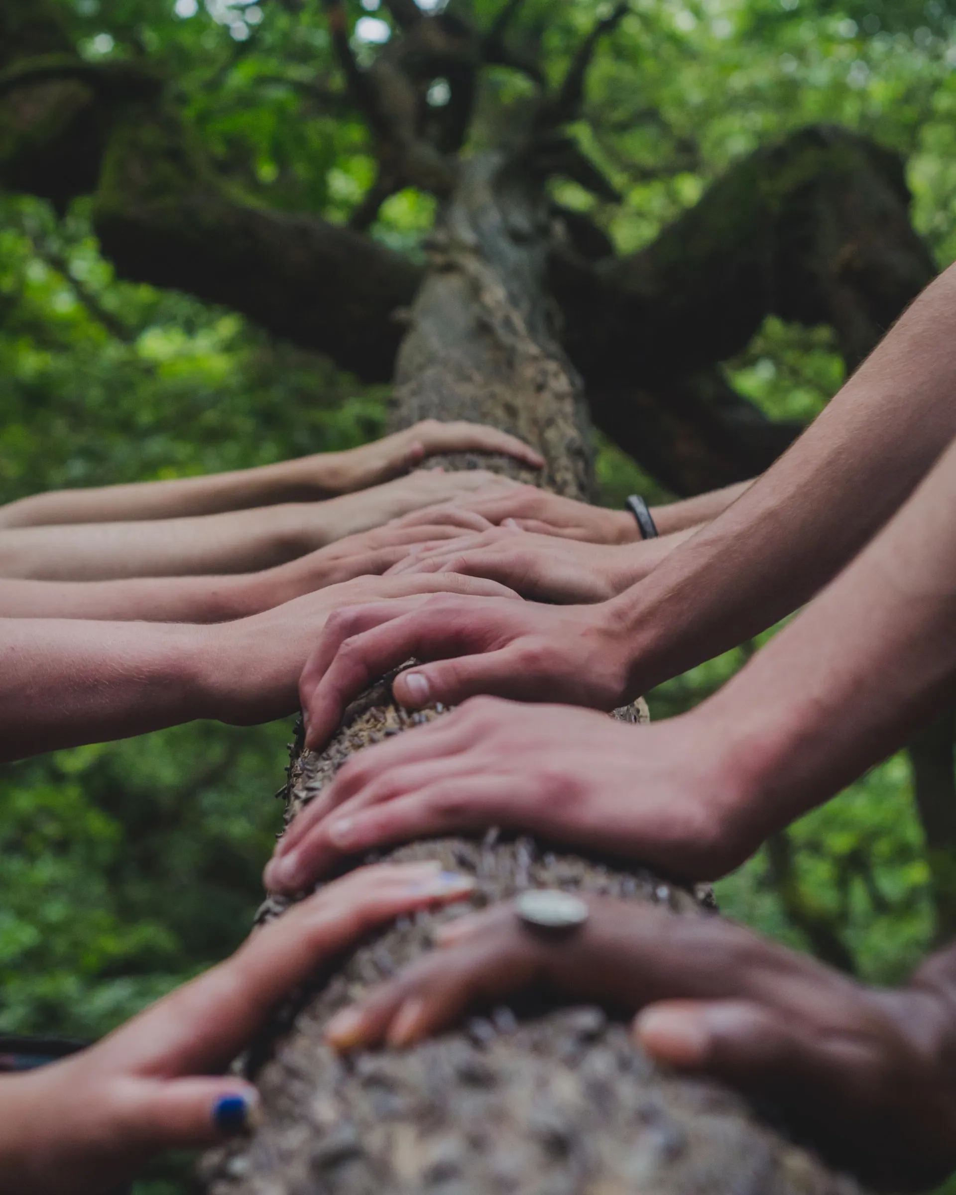 Foto de Shane Rounce a Unsplash