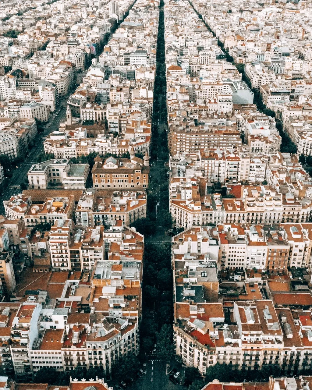 Foto de Kaspars Upmanis a Unsplash