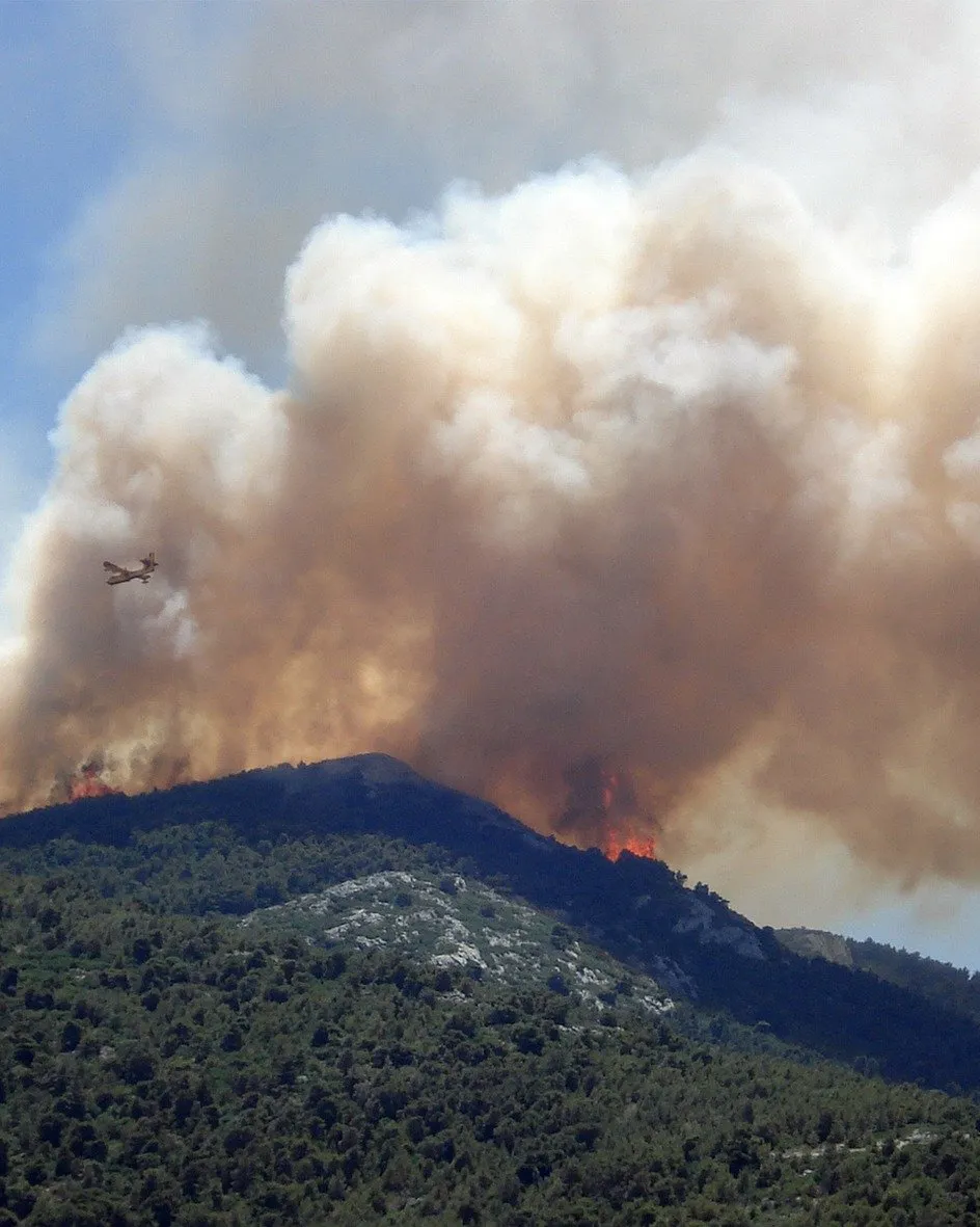 Mantenir un territori foral viu ajuda a rebaixar la intensitat del foc. Mantenir un territori foral viu ajuda a rebaixar la intensitat del foc.