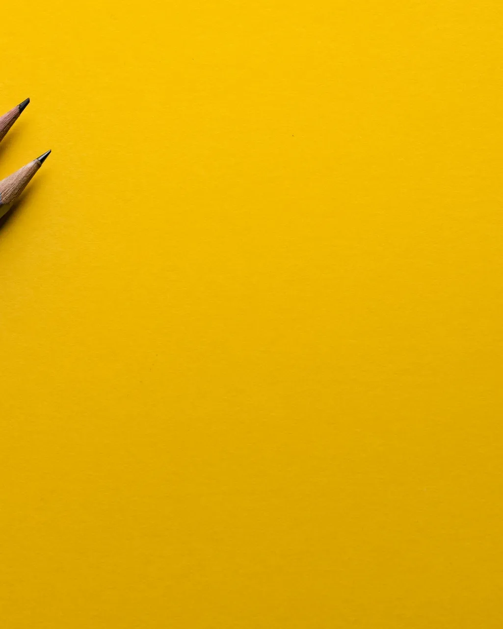 Foto de Joanna Kosinska a Unsplash