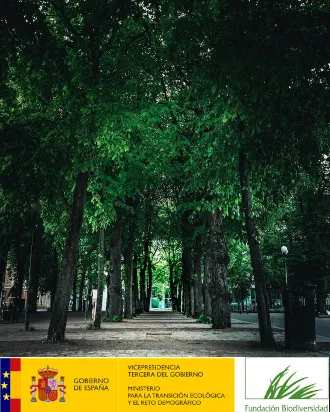 Parc amb arbres. Font: Pexels Tobias Bjørkli