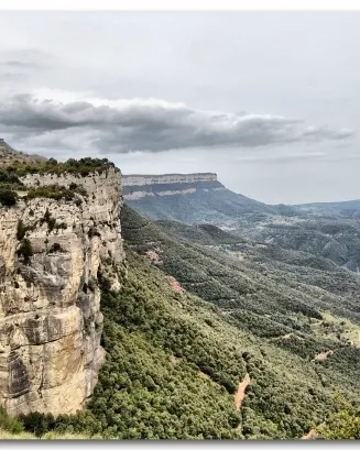 Les Guilleries. Font: Wikipèdia