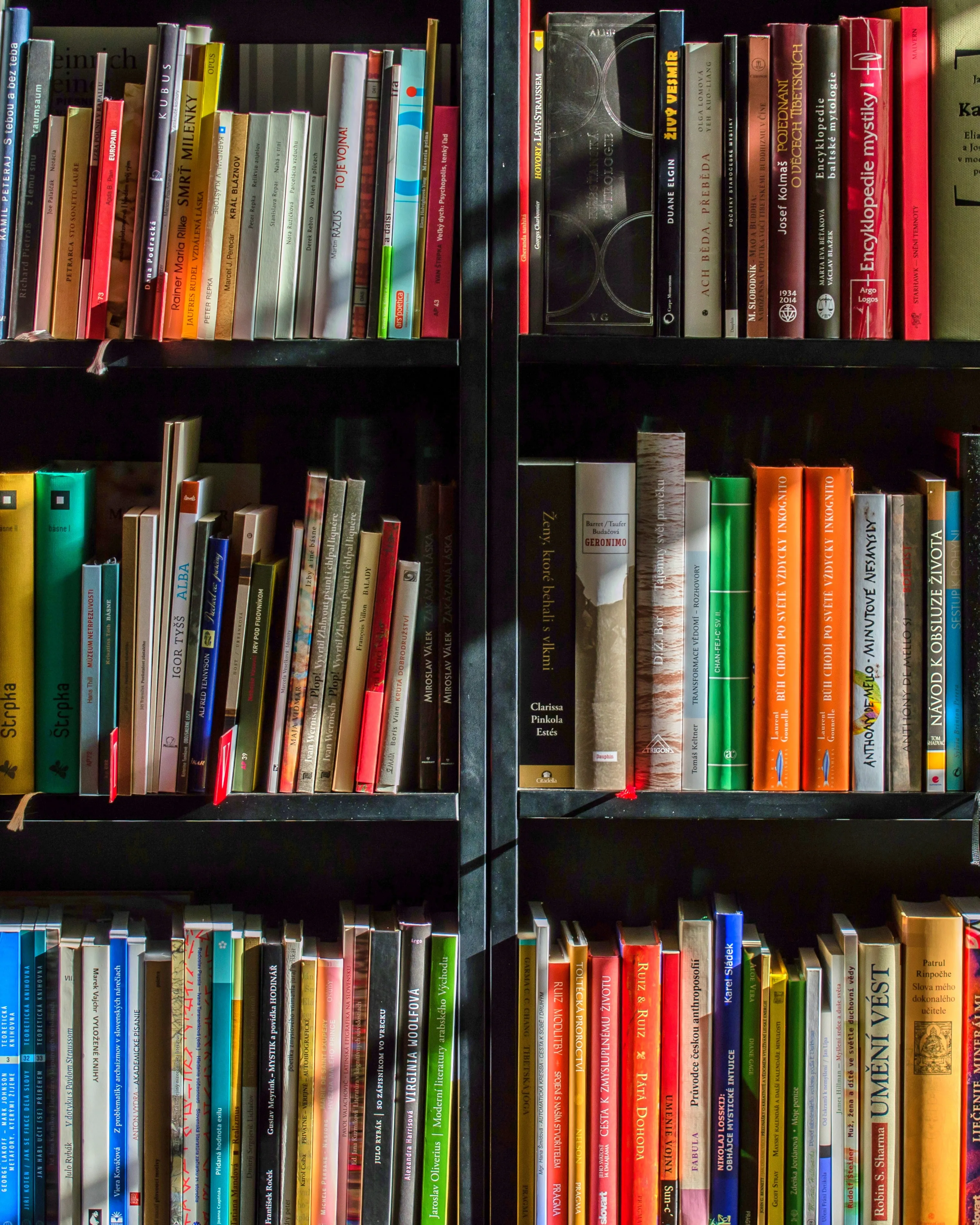 Llibreria amb llibres variats. Font: Pixabay Llibreria amb llibres variats. Font: Pixabay