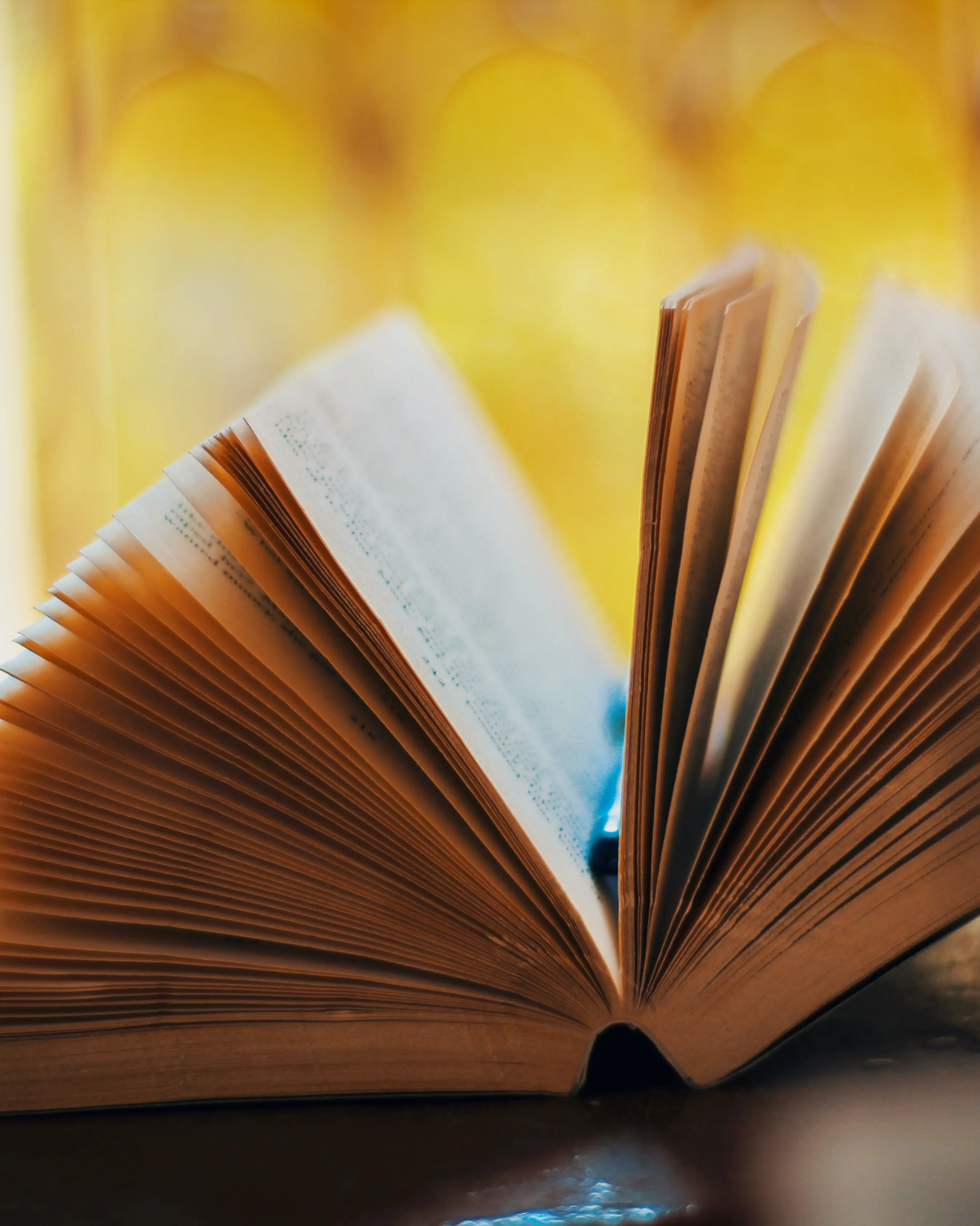 Llibre amb les pàgines obertes. Font: Pexels - Sumit Mathur Llibre amb les pàgines obertes. Font: Pexels - Sumit Mathur