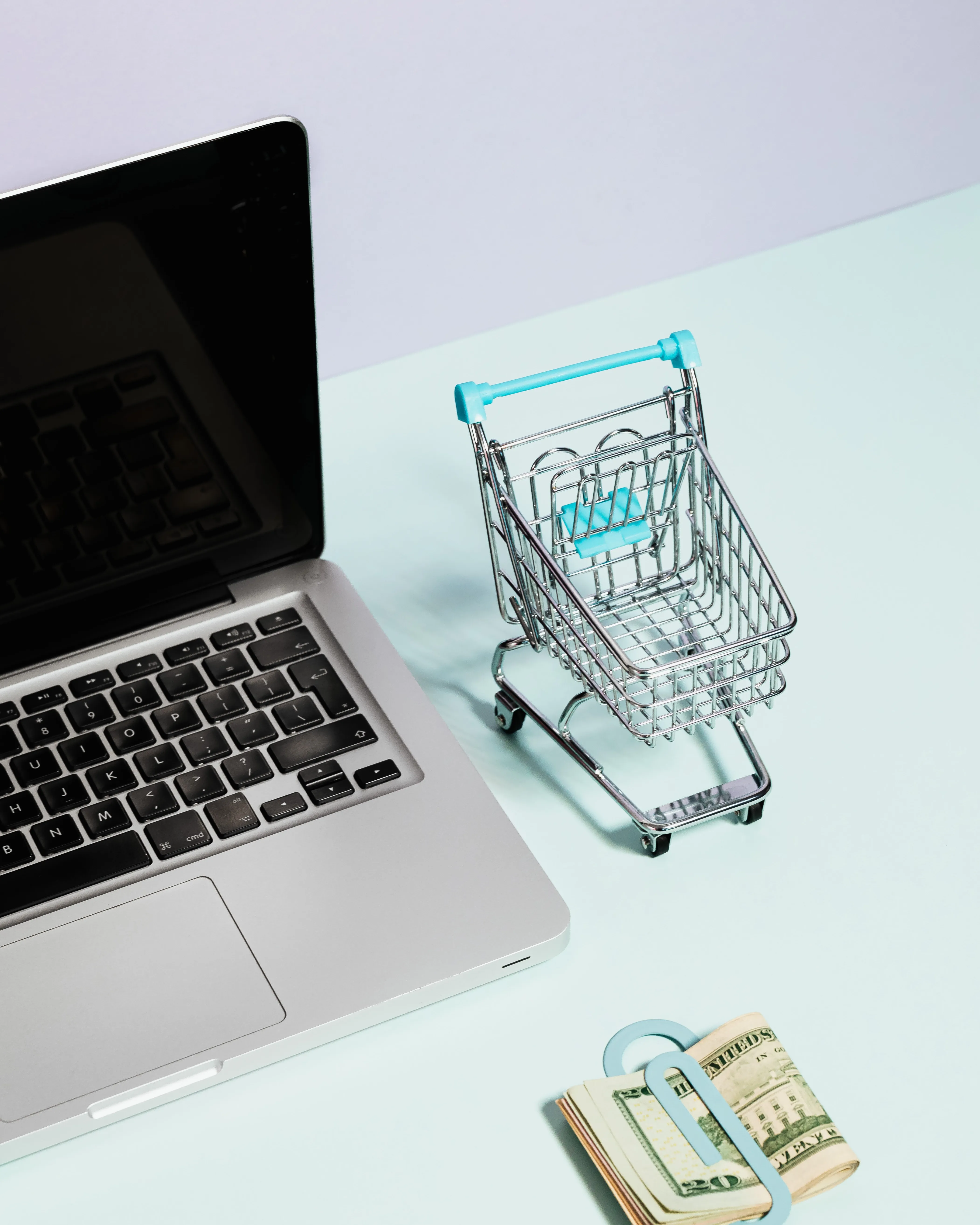 Ordinador, diners i carro de la compra