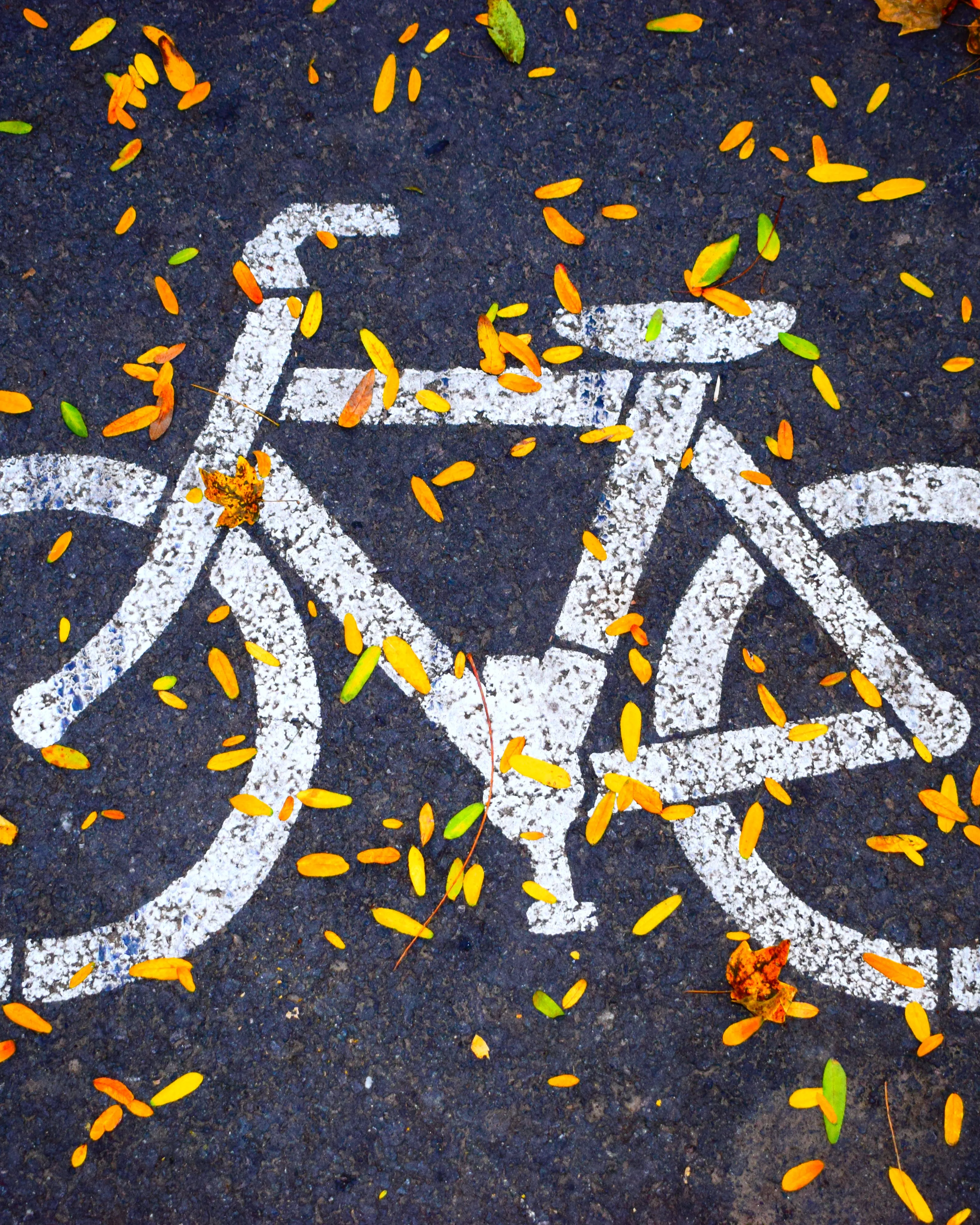 Dibuix de bicicleta pintat a l'asfalt. Font: Pexels - Cristiana Raluca