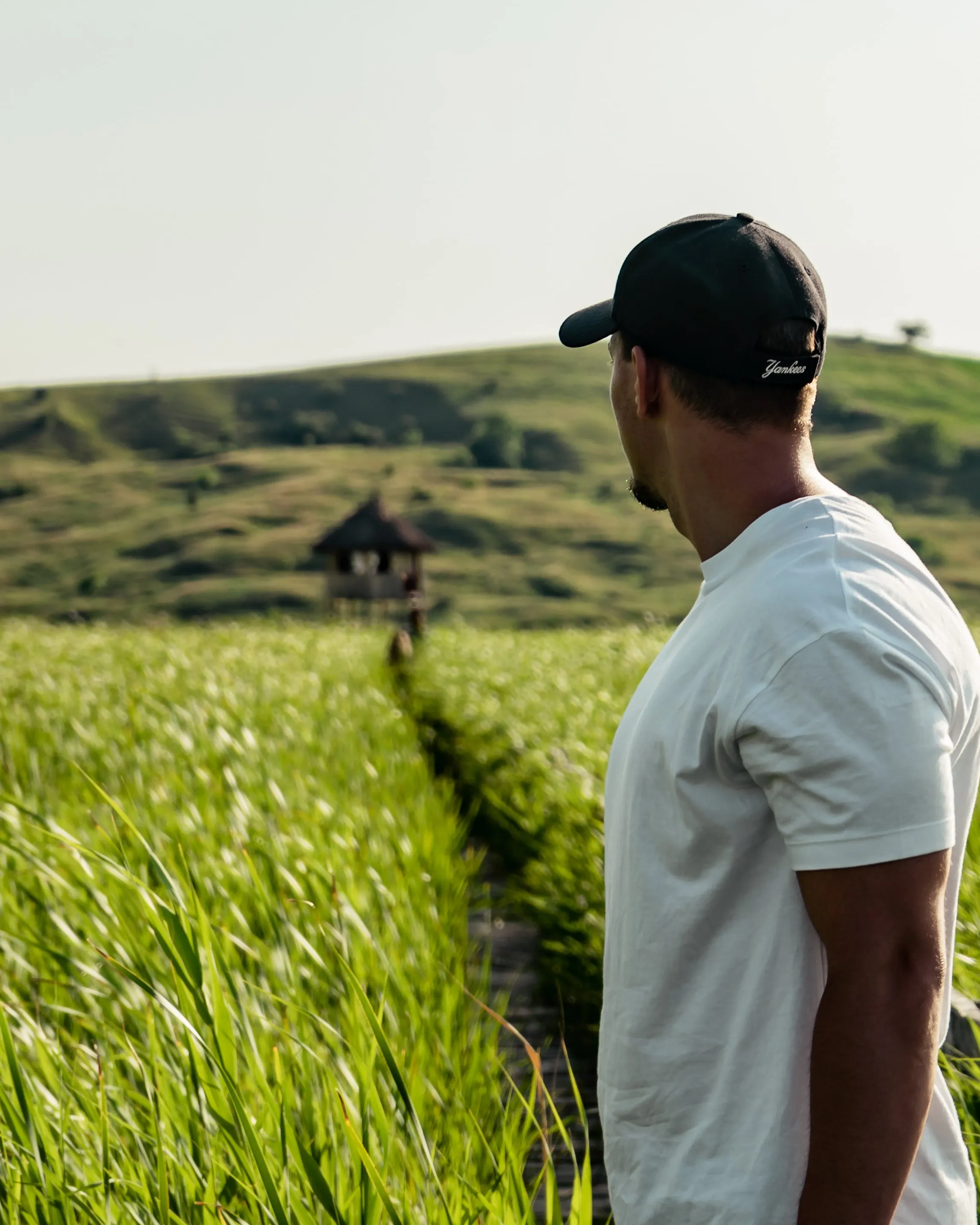 Noi mirant un camp de blat. Font: Pexels - Vlad Chețan Noi mirant un camp de blat. Font: Pexels - Vlad Chețan
