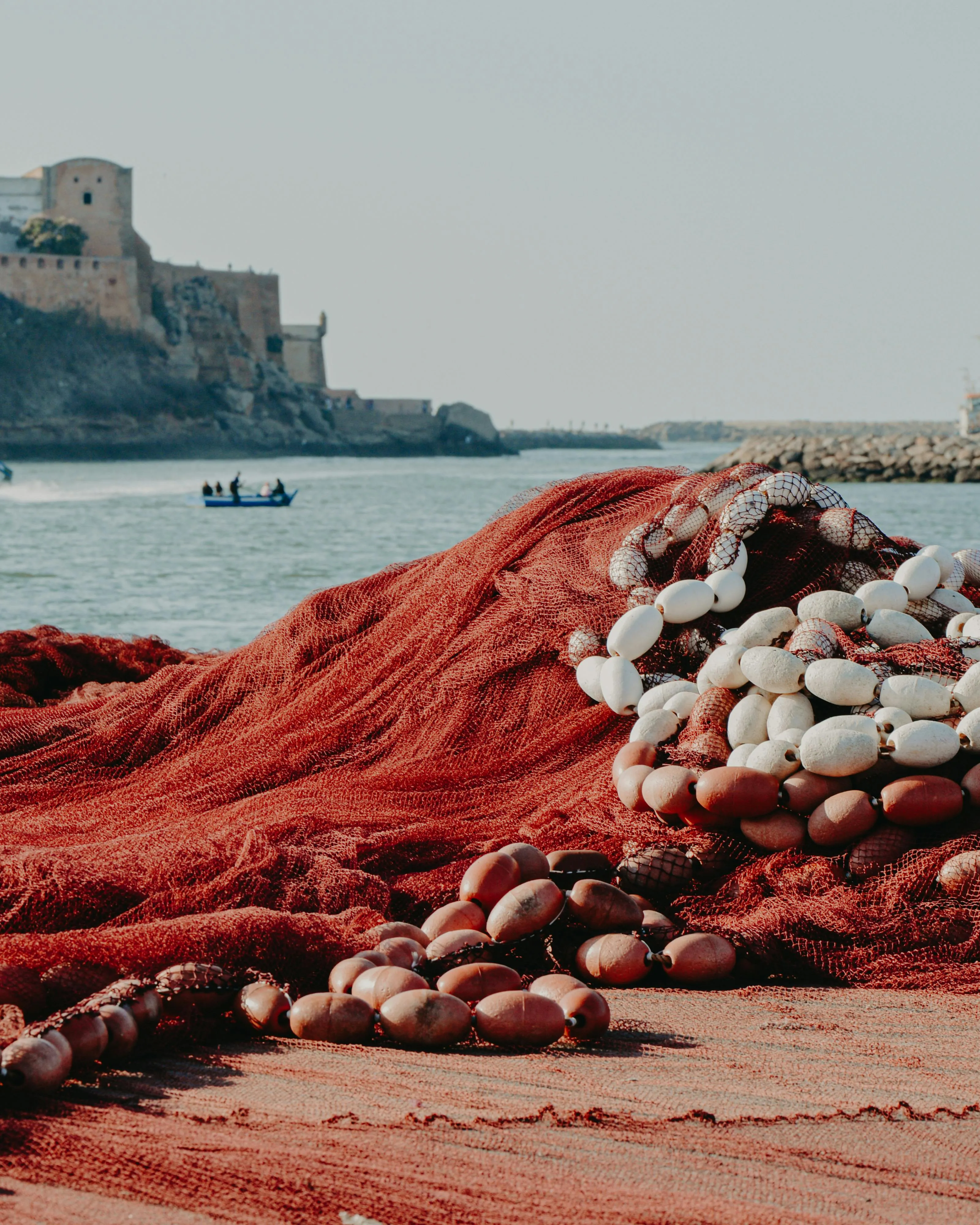 Xarxes de pesca en un port. Font: Pexels - MELIANI Driss