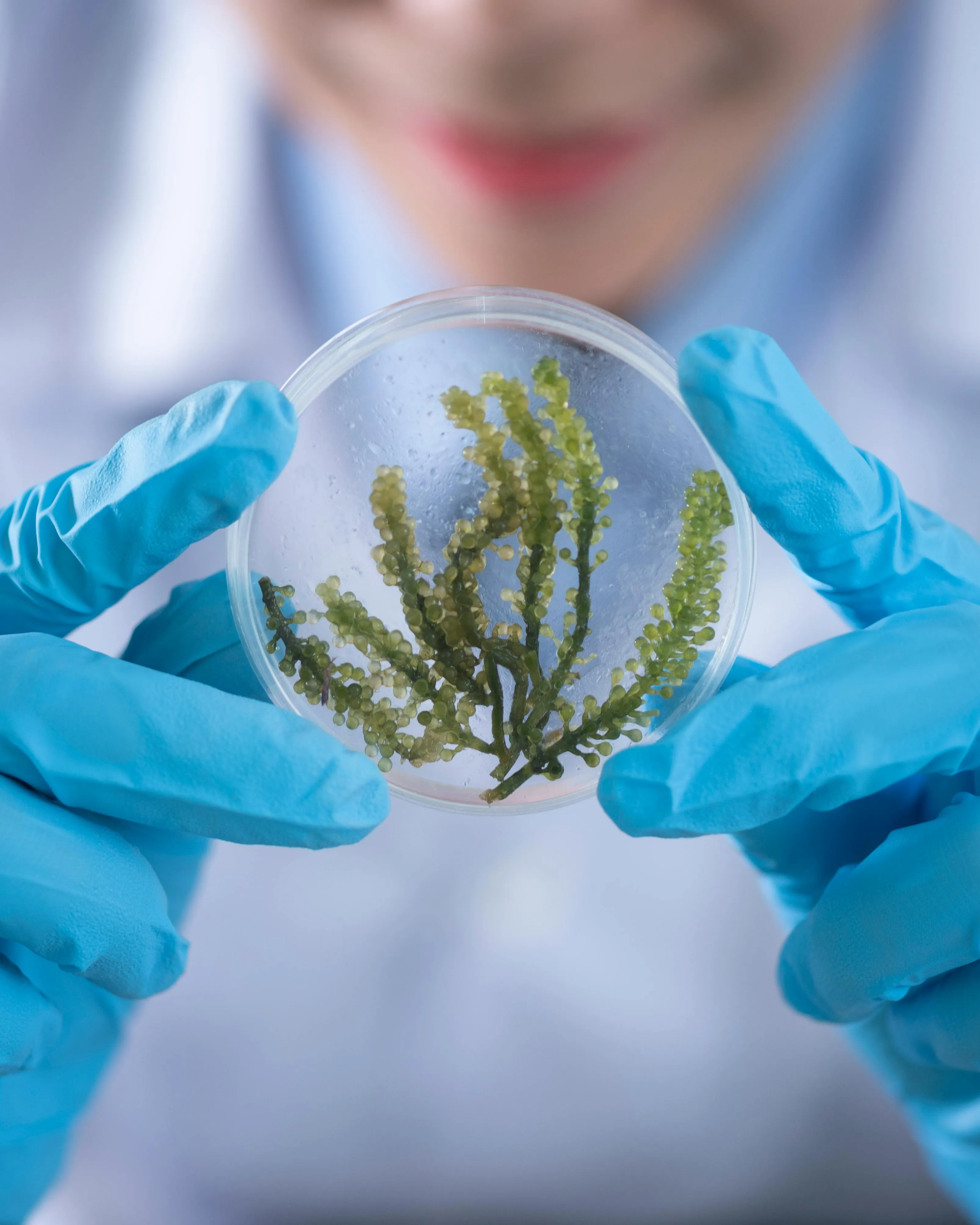 Persona manipulant una mostra de microscopi. Font: Pexels - Chokniti Khongchum