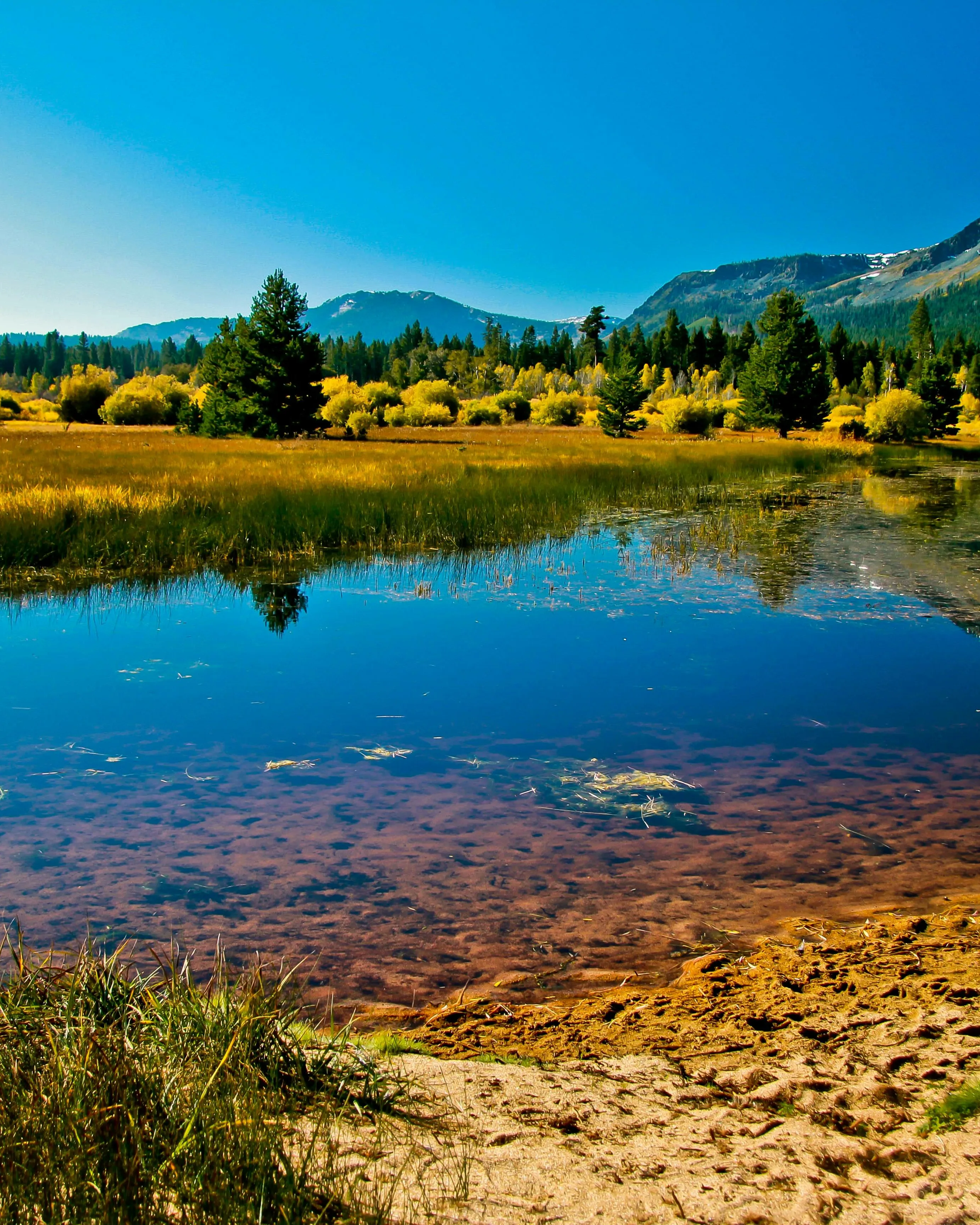 Llacuna en un espai natural. Font: Pixabay