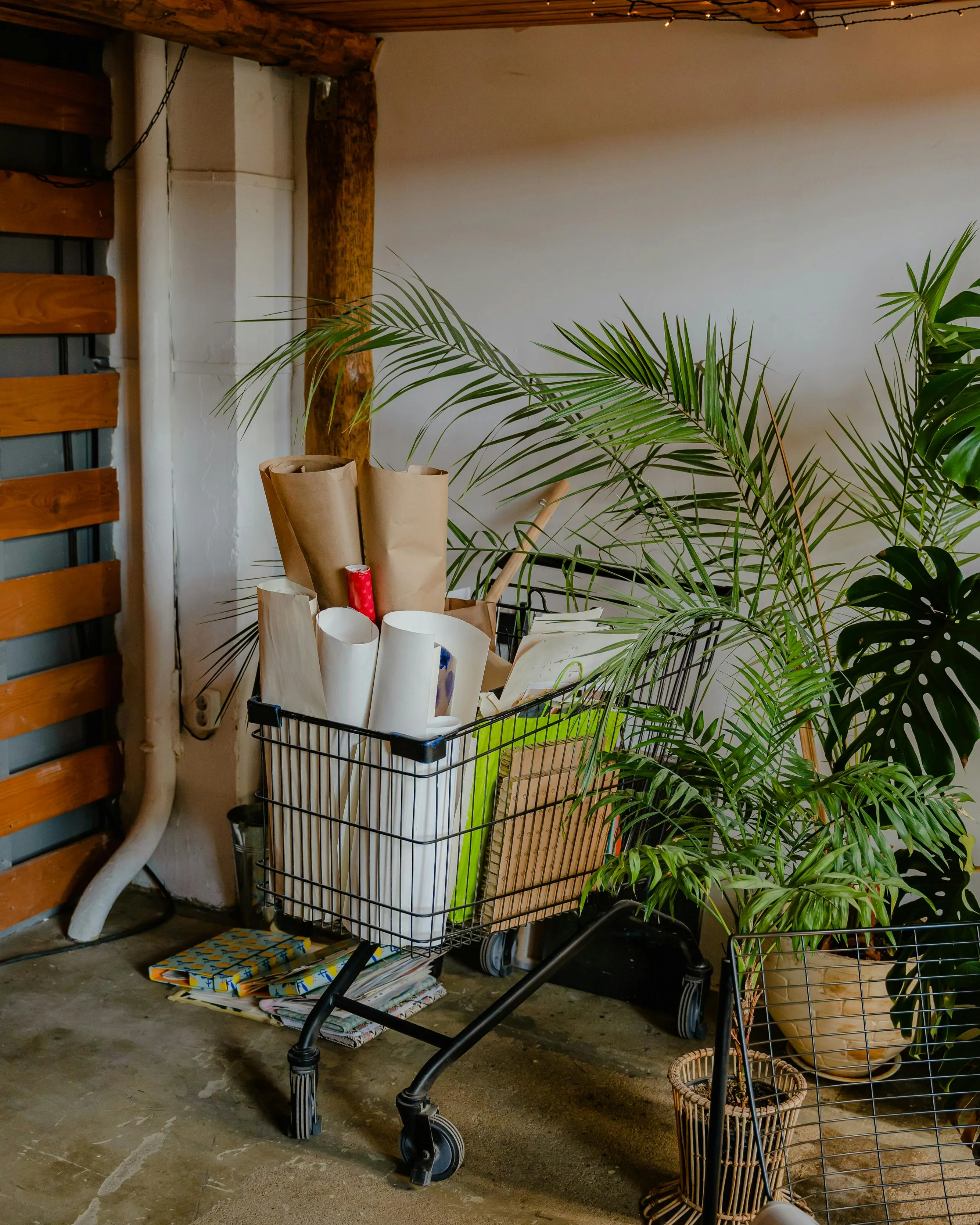 Carret de la compra amb cartells. Font: Pexels - Antoni Shkraba
