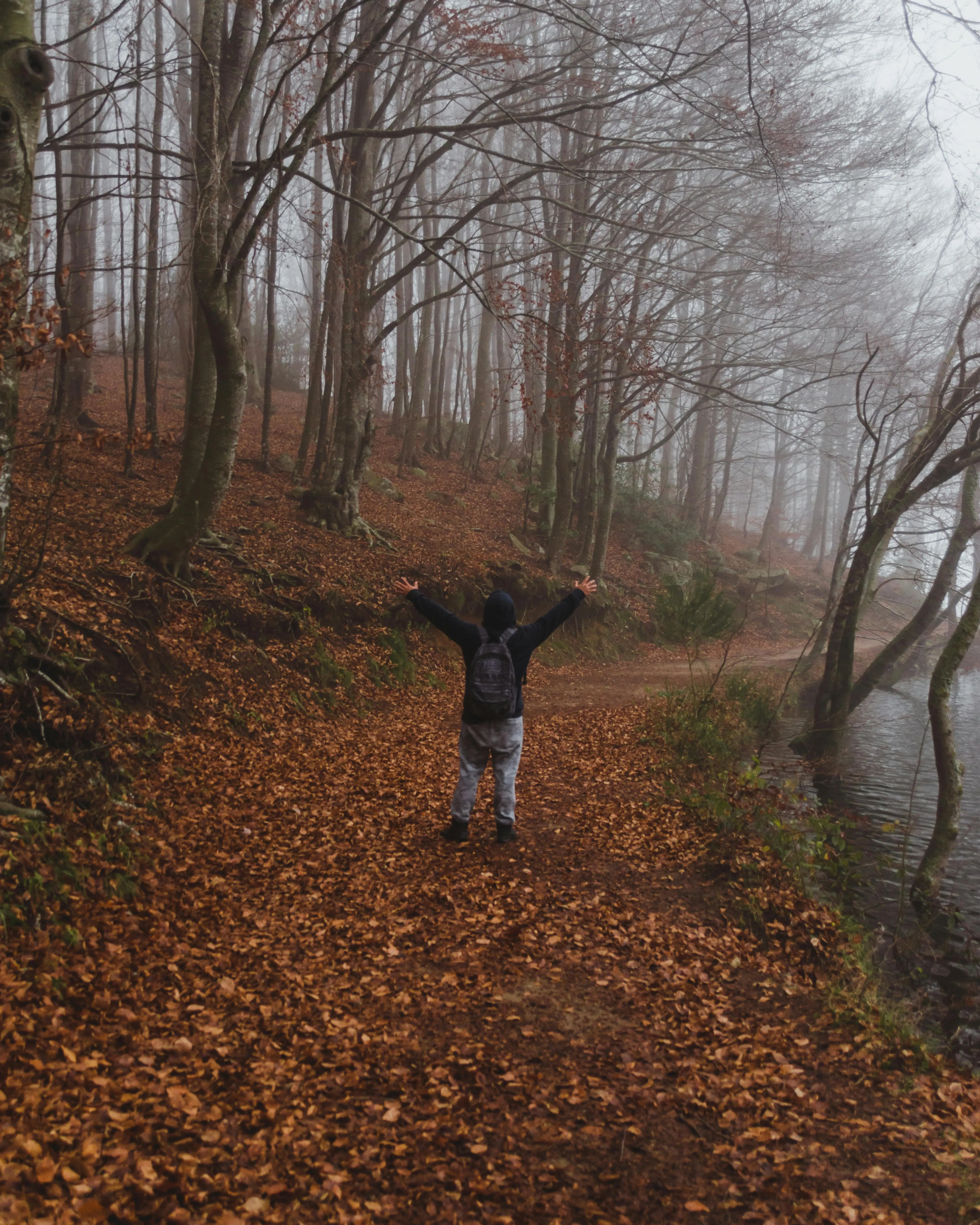 Persona en un camí en un bosc amb fulles de tardor aixecant els braços