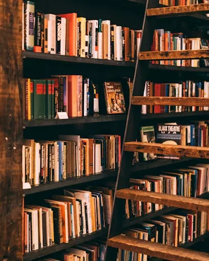 Prestatgeria plena de llibres