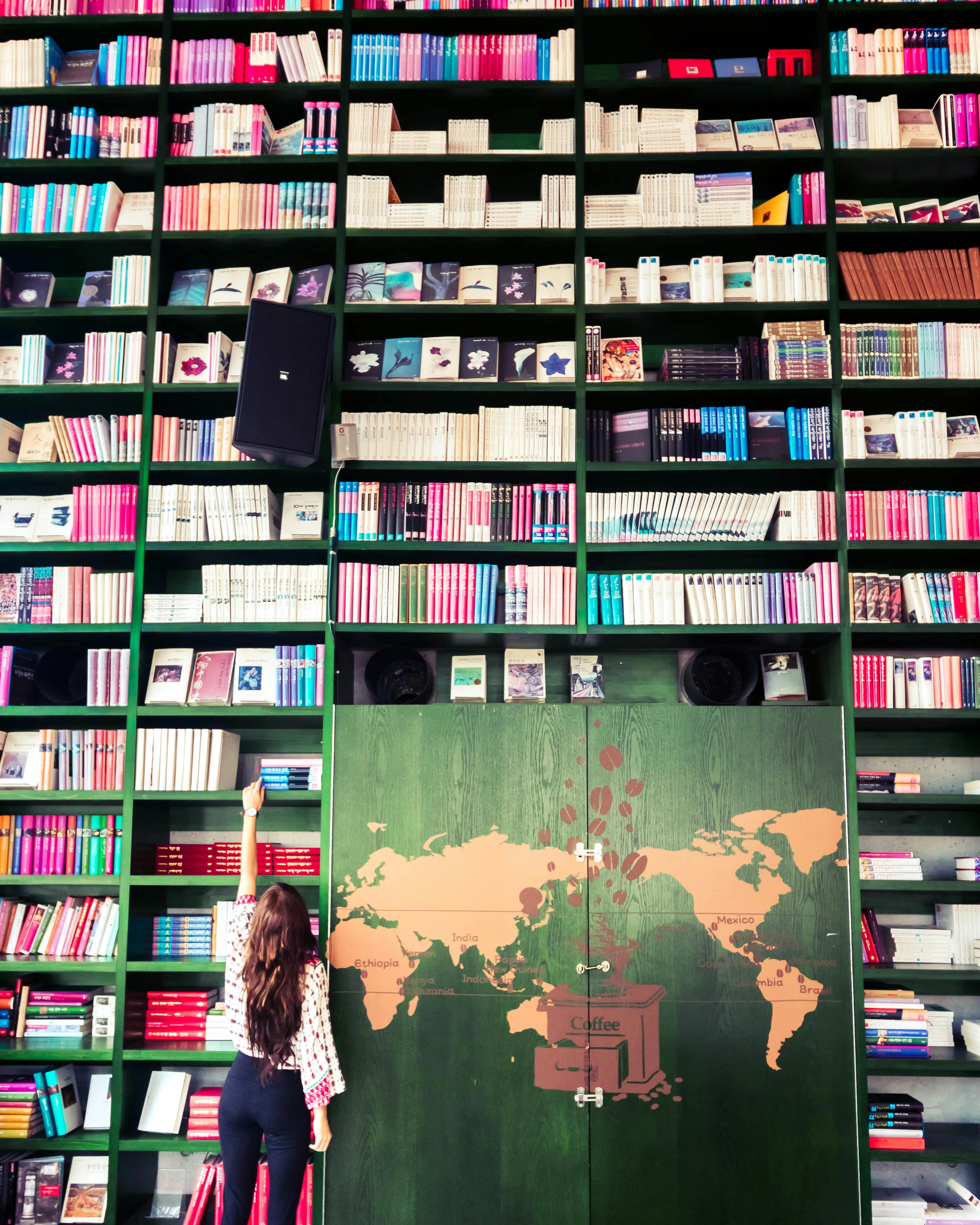 Noia agafant un llibre en una paret alta plena de prestatgeries i llibres Noia agafant un llibre en una paret alta plena de prestatgeries i llibres