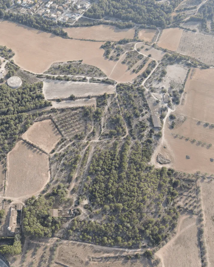 Vista aèria d'un camps i territori boscós