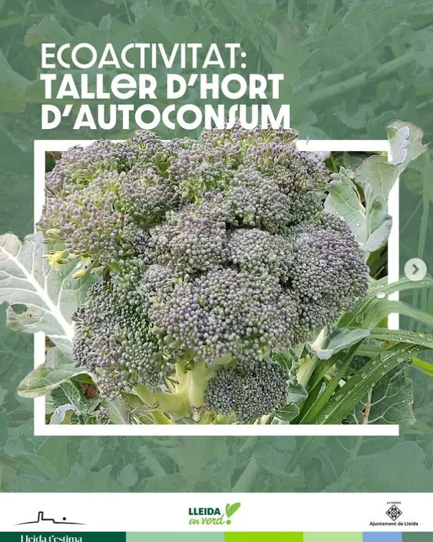 Cartell oficial del taller d'hort d'autoconsum.