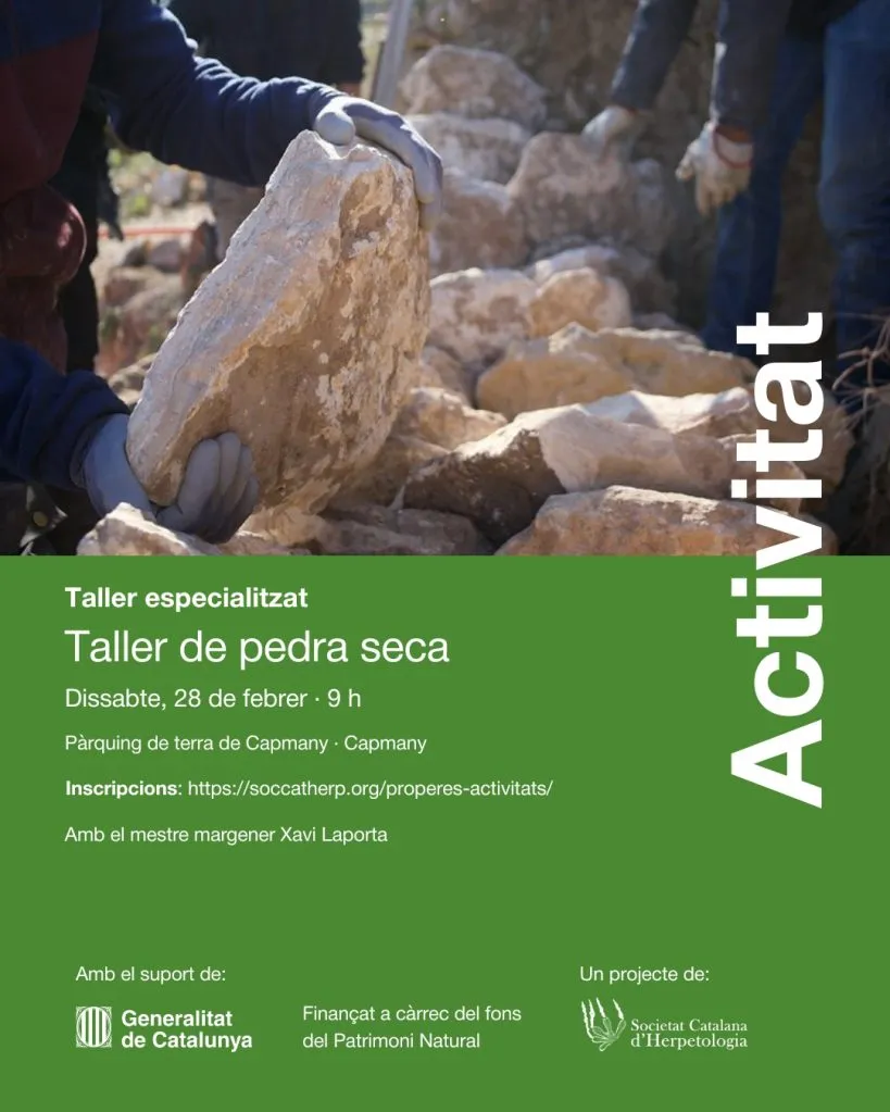Cartell oficial de la jornada dedicada a l’aprenentatge de l’art de la pedra seca.