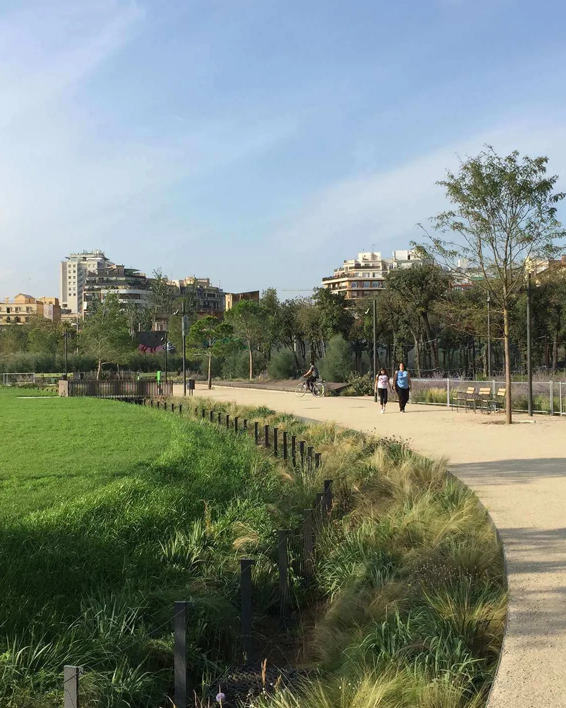 Imatge de la canòpia urbana de la Plaça de les Glòries, Barcelona.